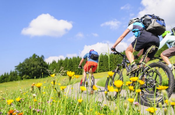 Fahrrad auf Rechnung kaufen